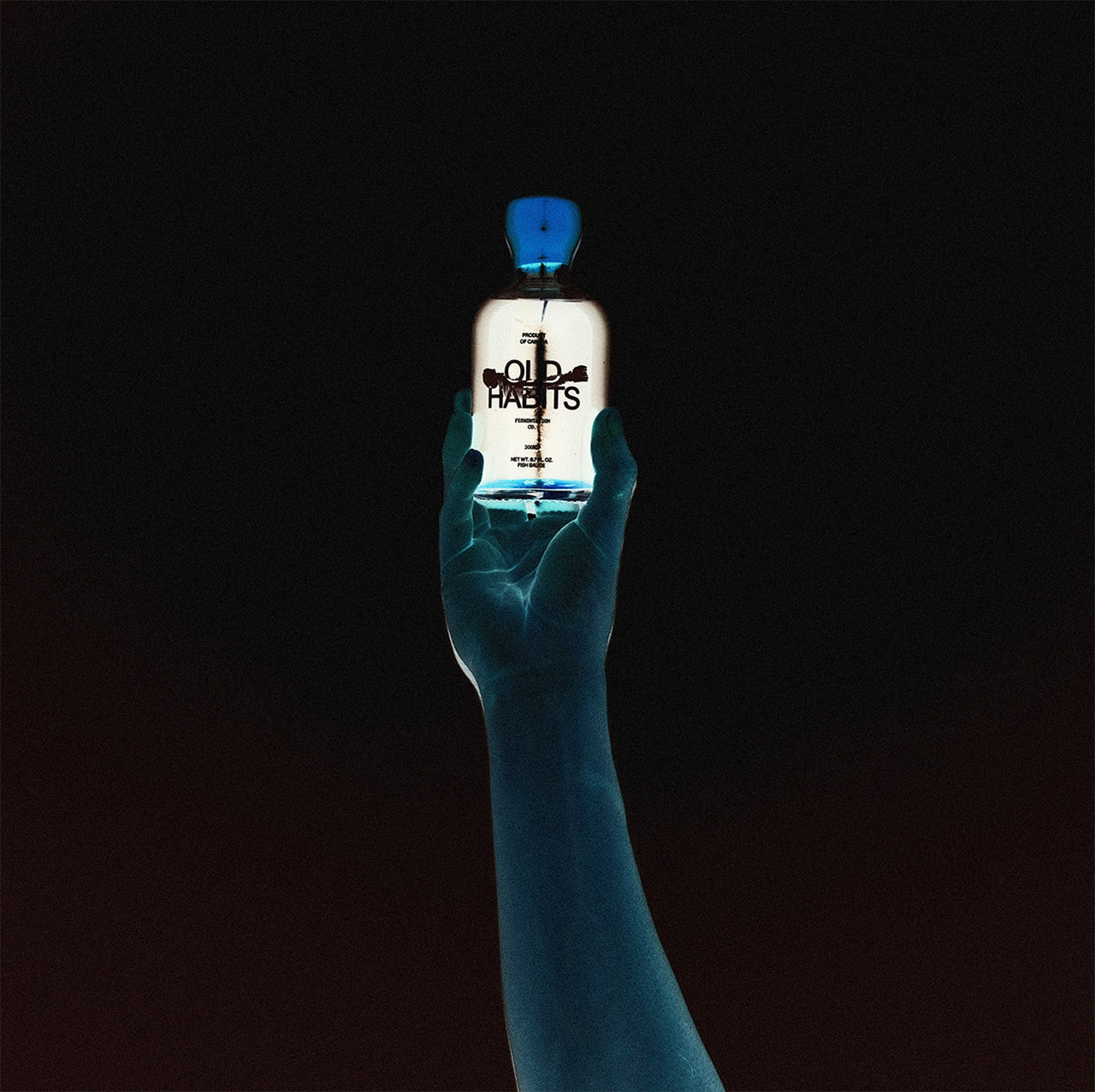 PACIFIC PINK SHRIMP 3 YEAR