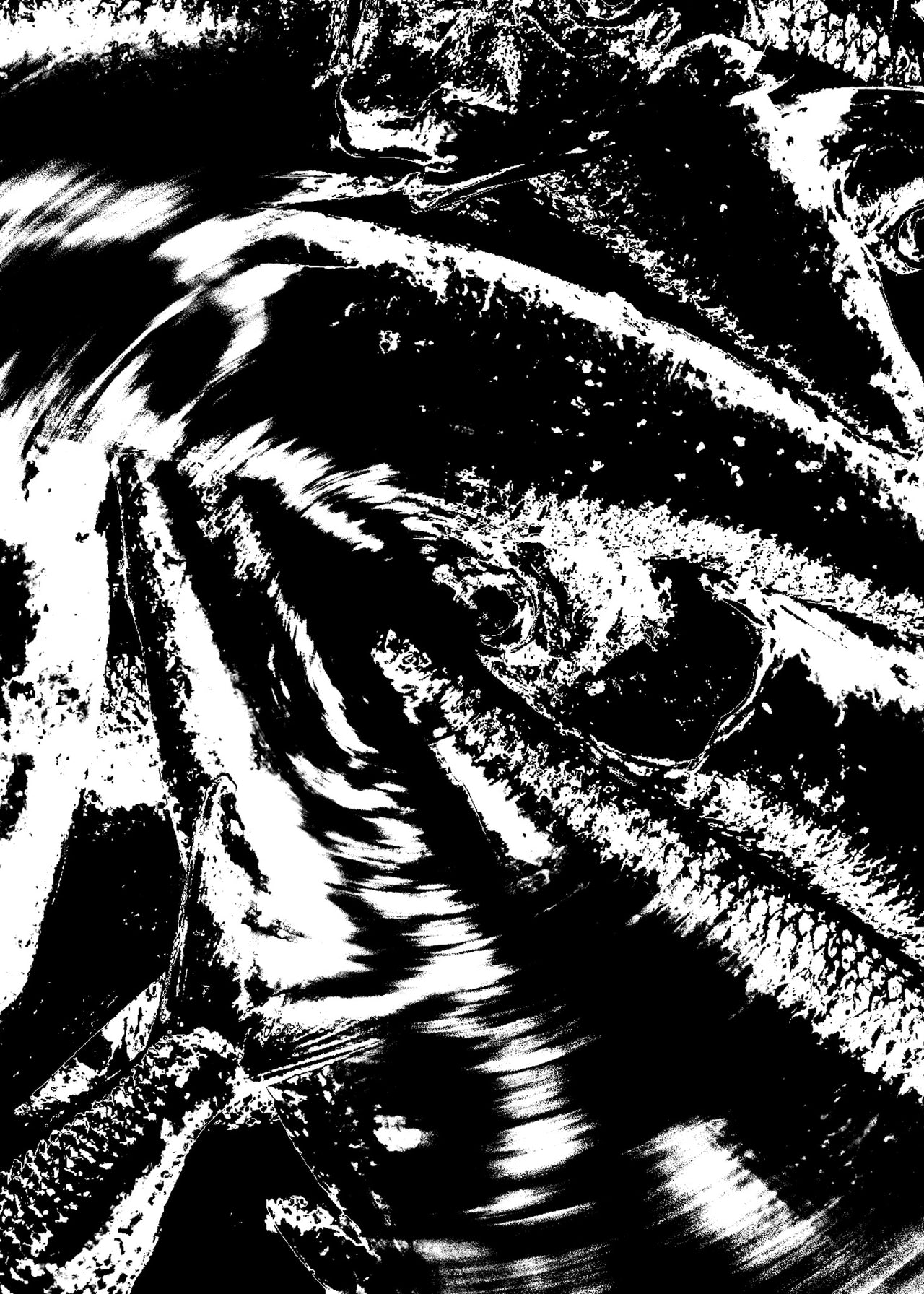 SAMPLE 3-PACK BUNDLE