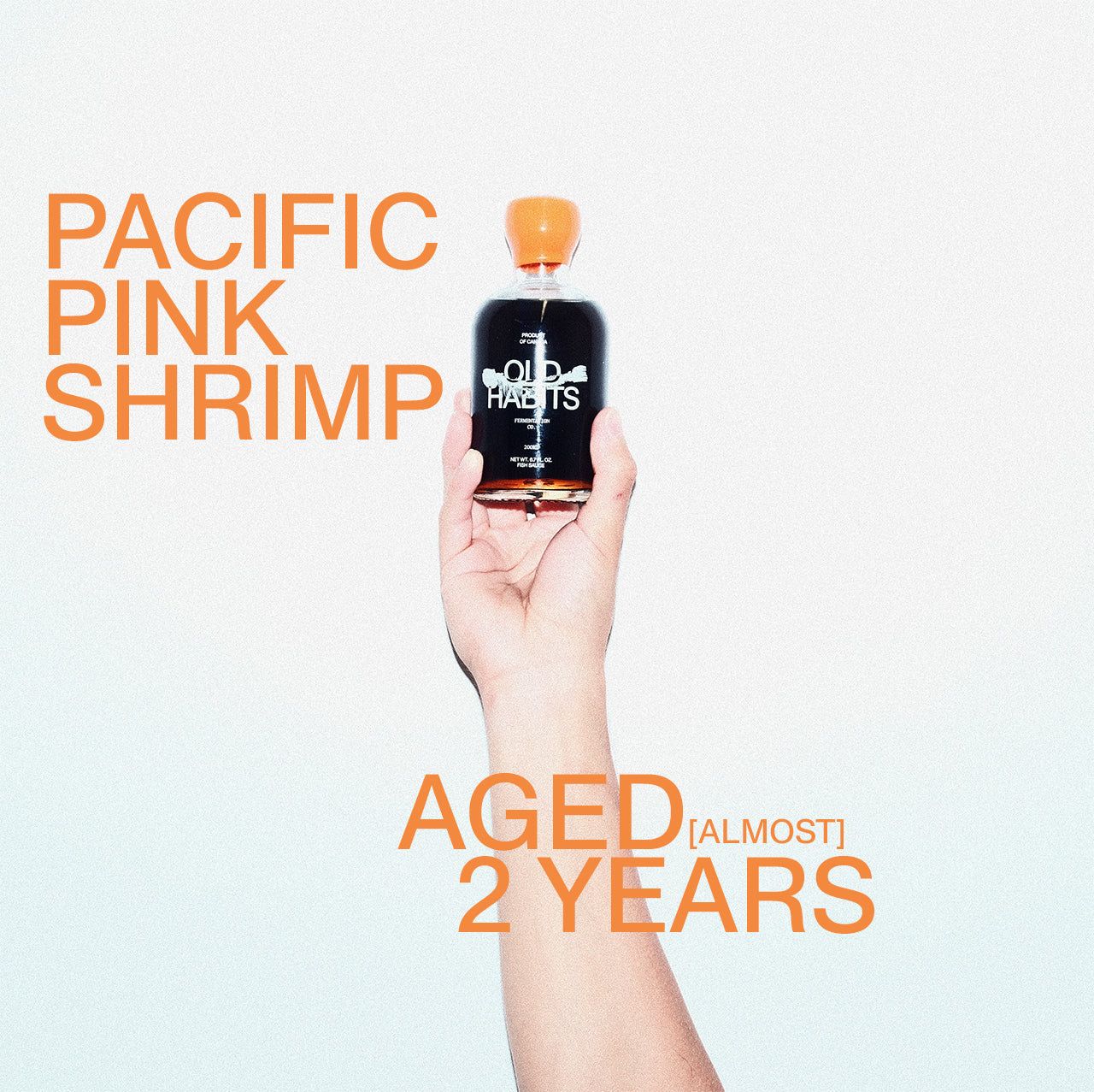 PACIFIC PINK SHRIMP 2 YEAR