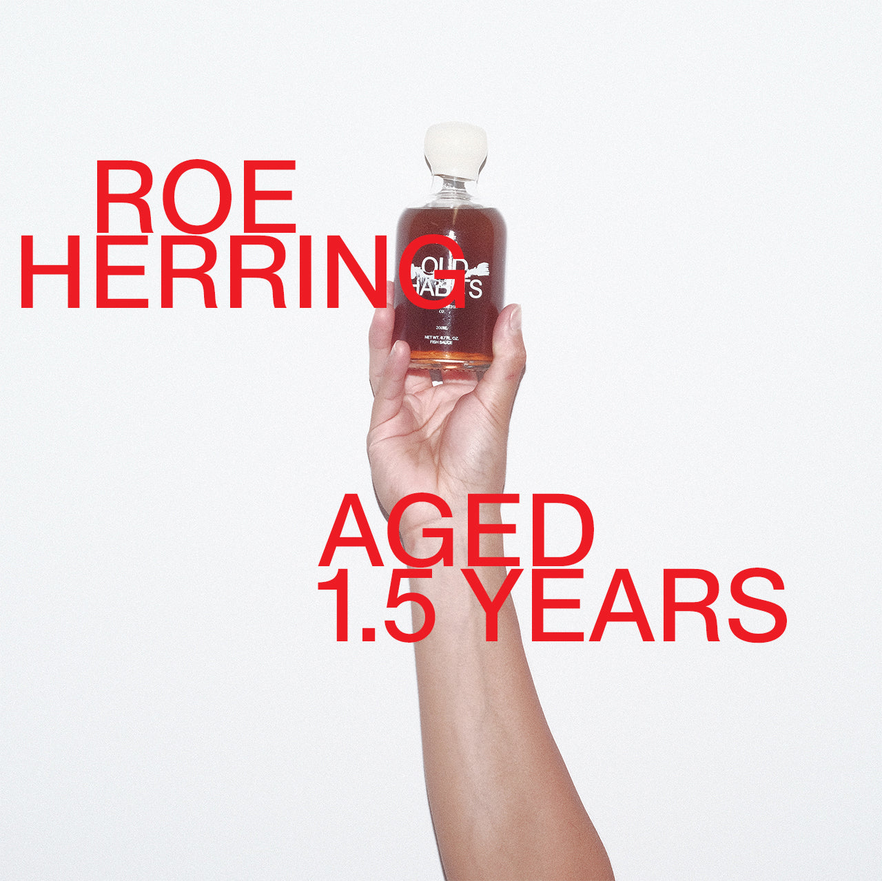 ROE HERRING 1 YEAR